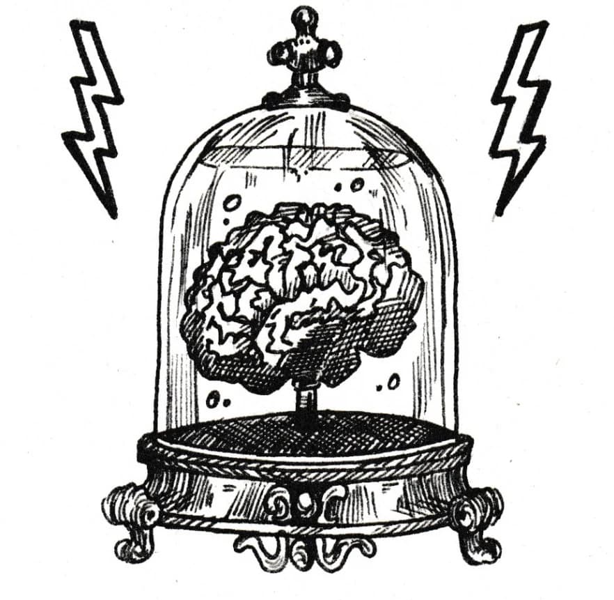 Cerveau, vue du dessin numérisé