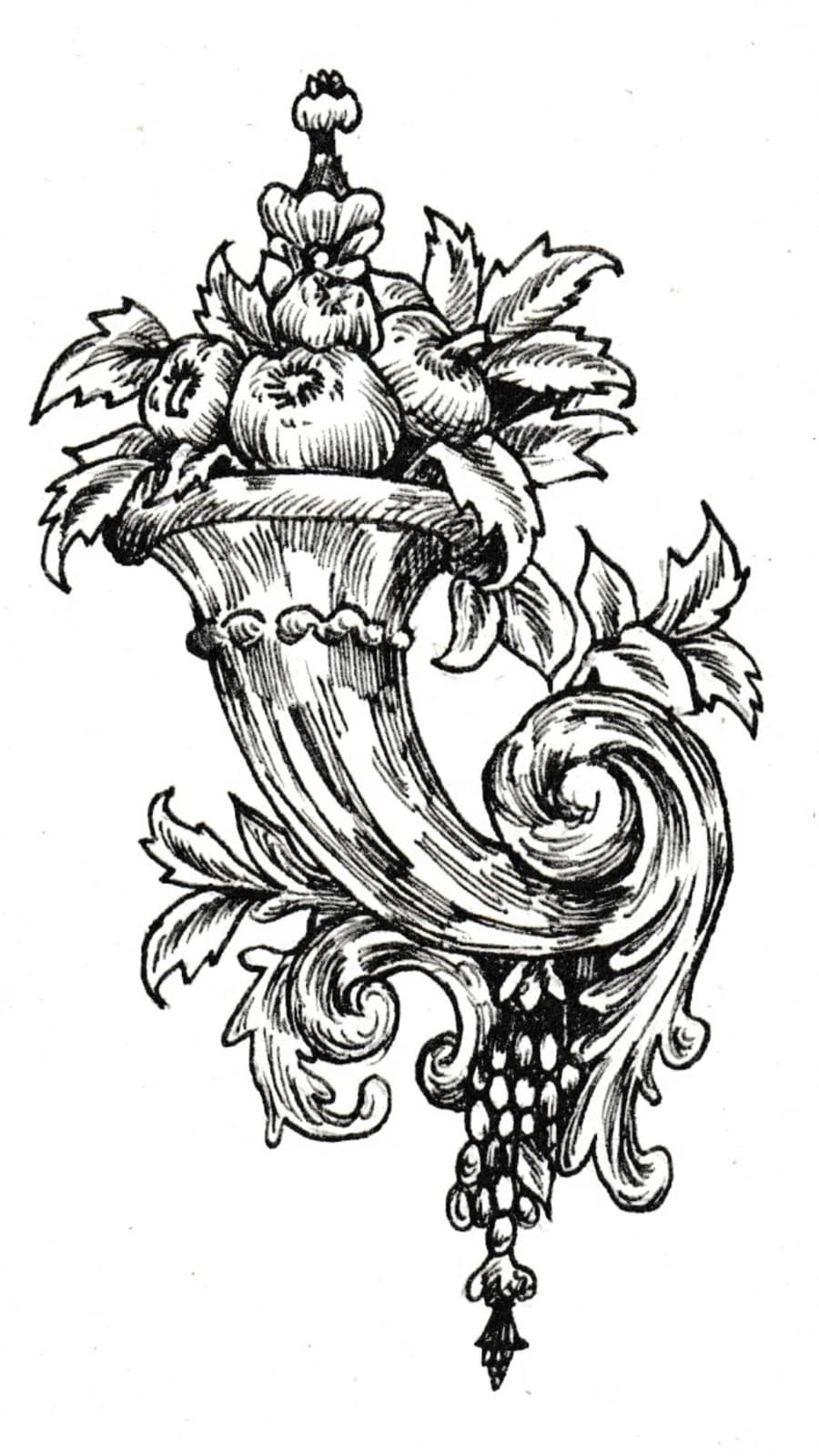 Corne d’abondance, vue du dessin numérisé