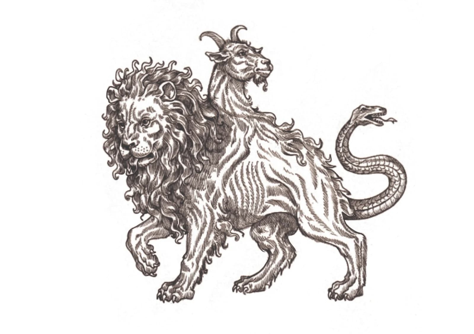 Chimère, vue du dessin numérisé