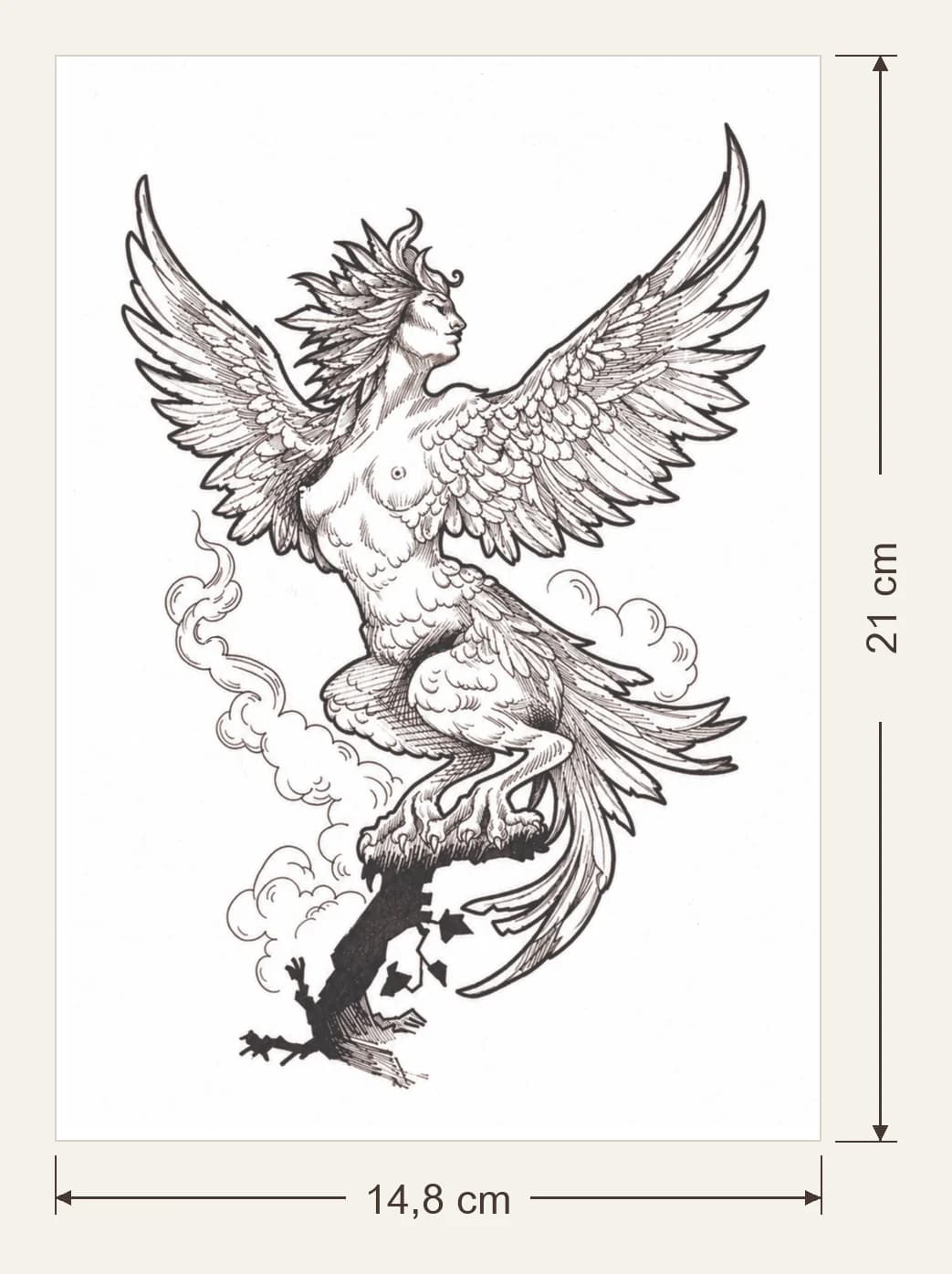 Harpie, dimensions du support : 14,8 × 21 cm, flèches de largeur et de hauteur