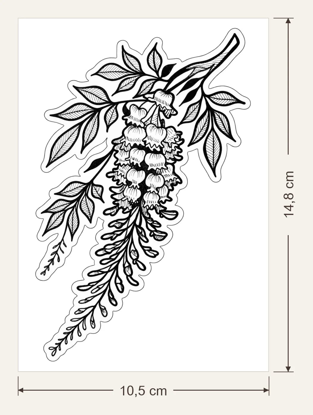 Glycine, dimensions du support : 10,5 × 14,8 cm, flèches de largeur et de hauteur